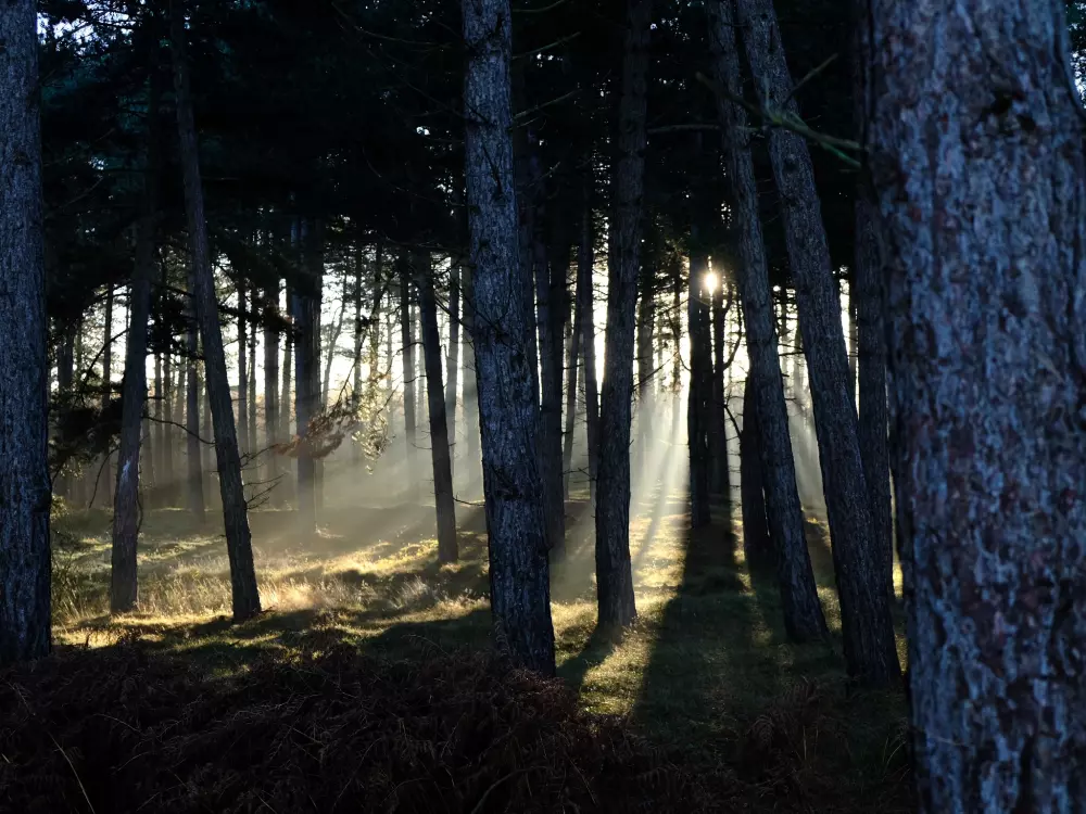 Feddet Strand Resort 5 étoiles★★★★★