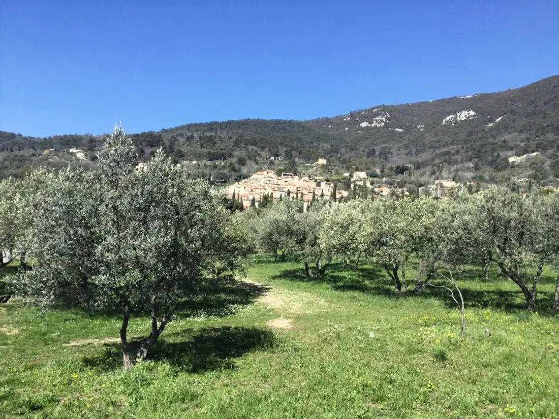 Maison de Vacances Fayence