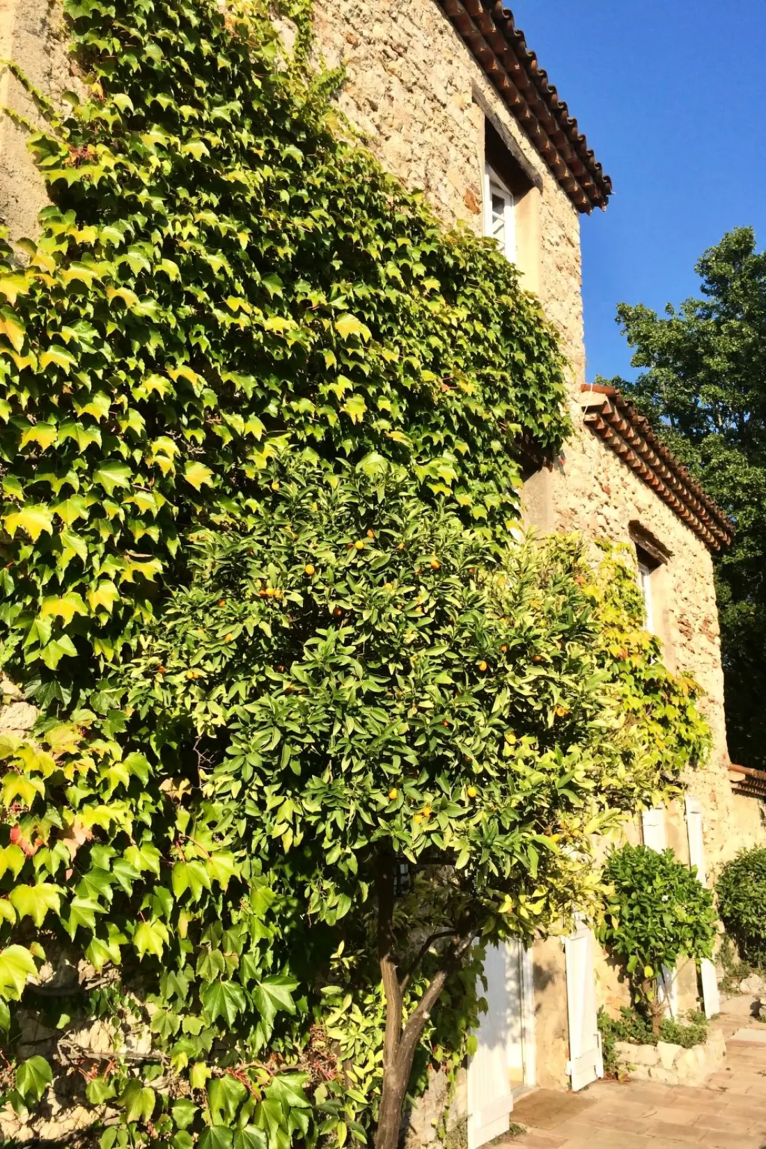 Maison de Vacances Fayence