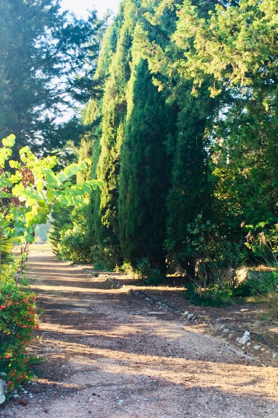 Maison de Vacances Fayence
