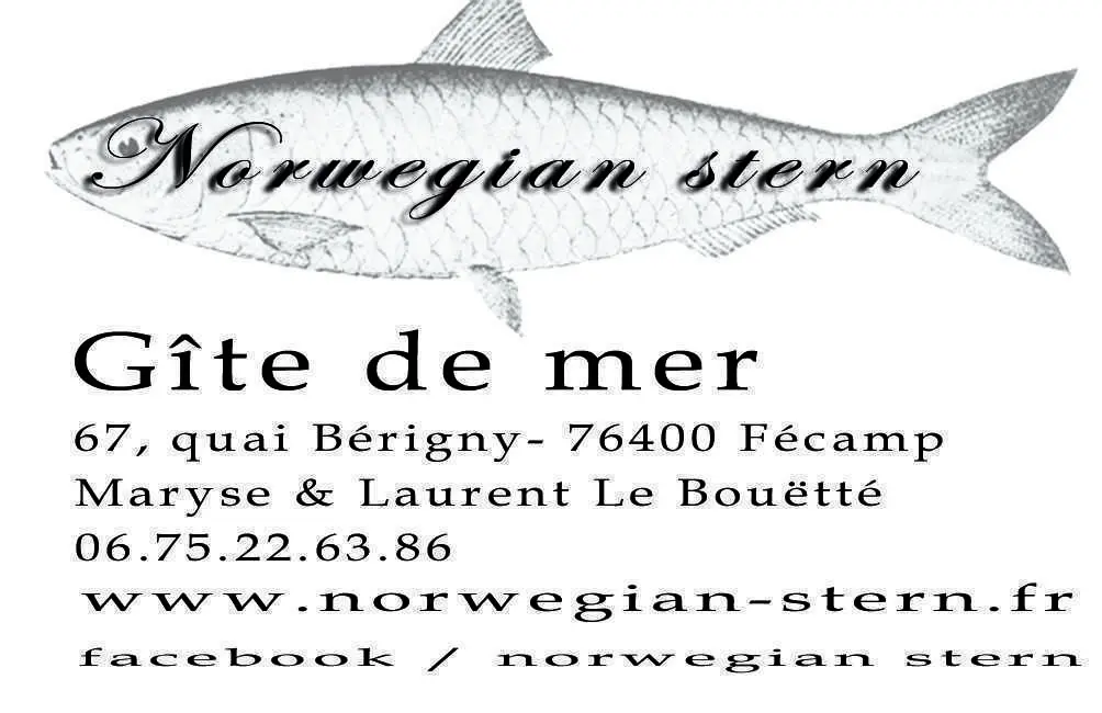 Gîte de France Gîtes de france® - norwegian stern 4 épis