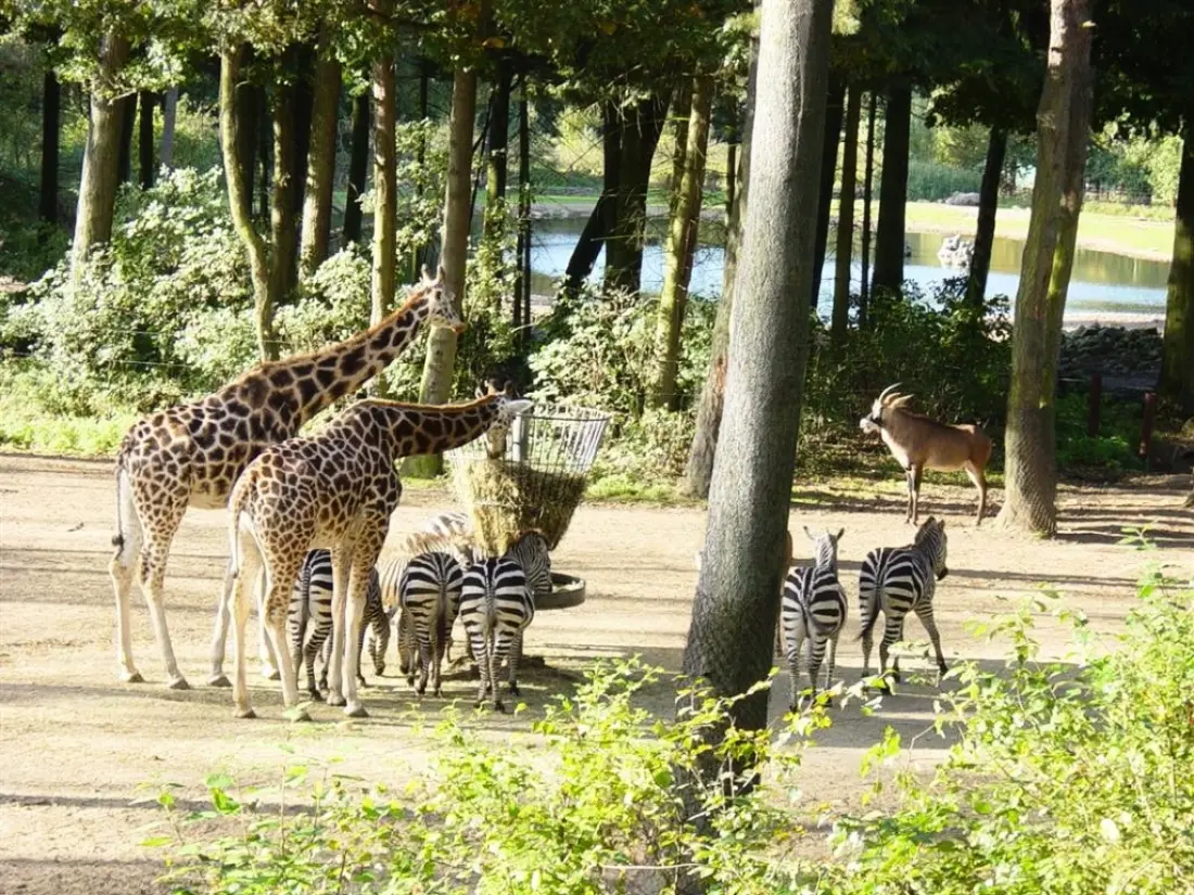CAMPING LES RIVES DE VILAINE 2 étoiles★★