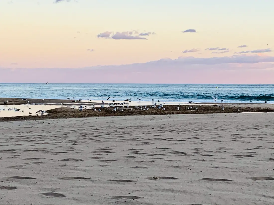 Location de Vacances Finestrat 22