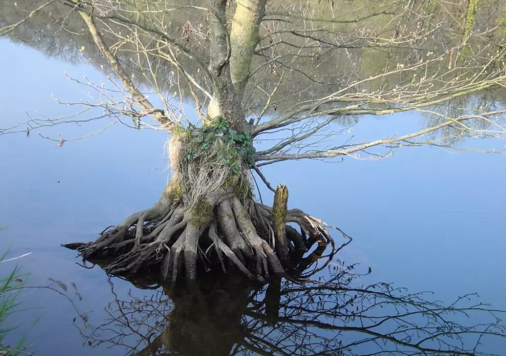 Ushuaïa Villages - Camping Le Port de Lacombe 3 étoiles★★★