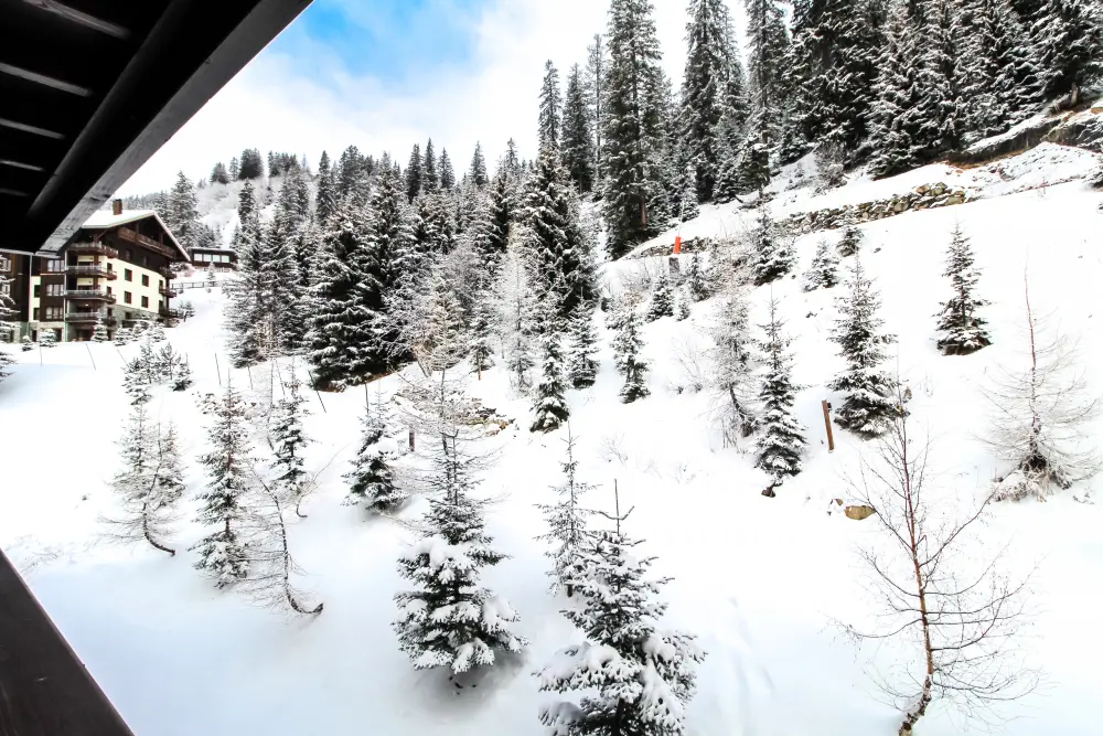 Appartements à Flaine