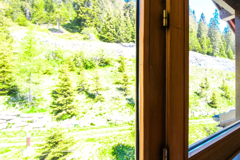 Appartements à Flaine