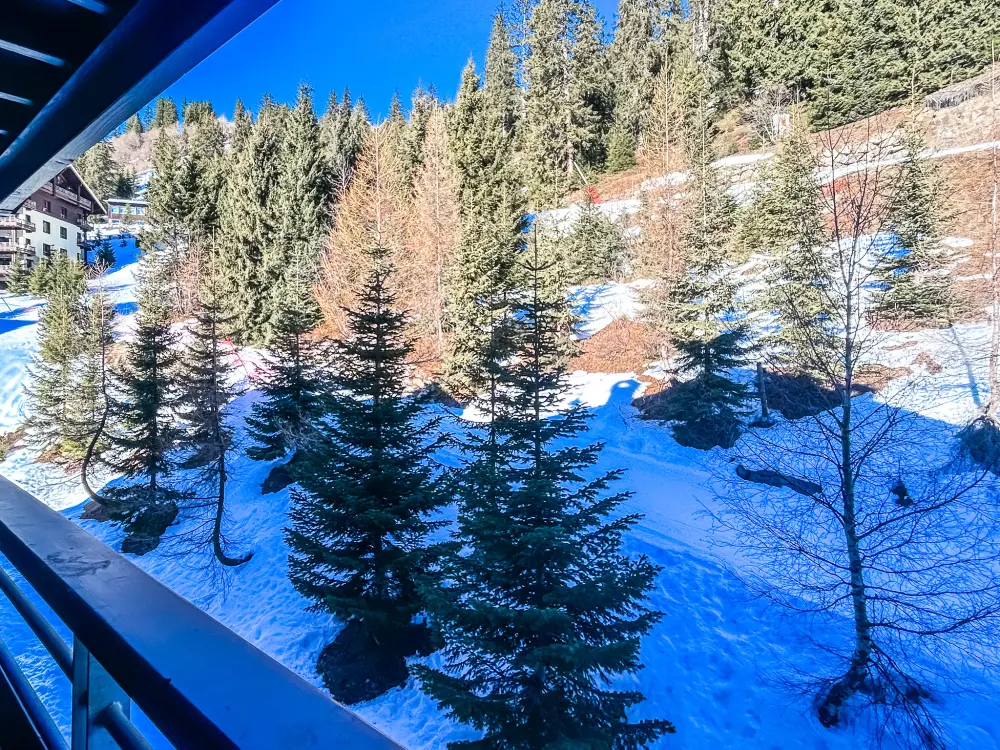 Appartements à Flaine