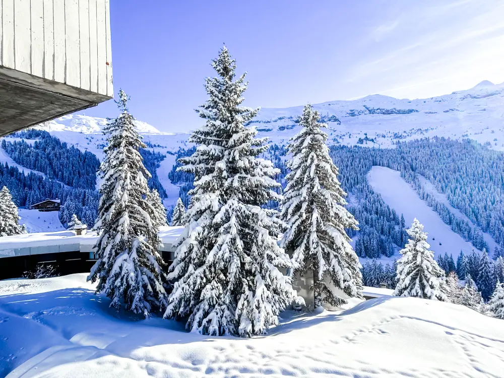 Appartements à Flaine