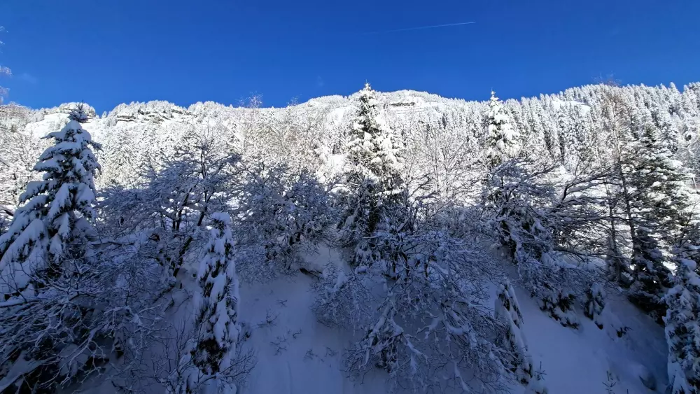 Résidence Andromede