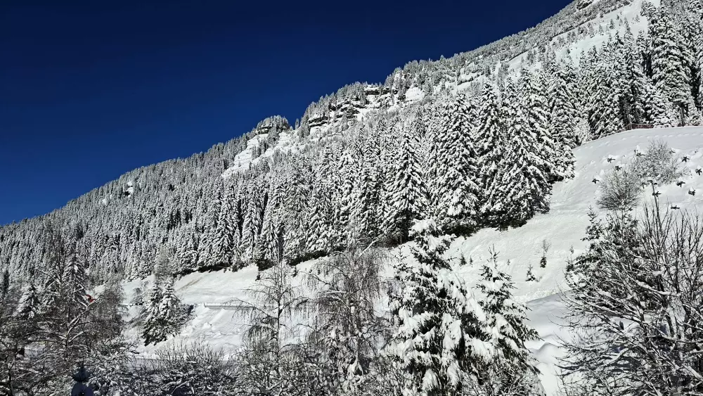 Résidence Andromede