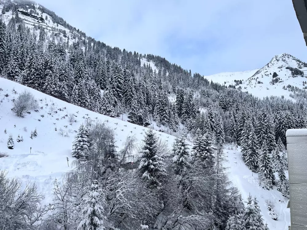 Résidence Andromede