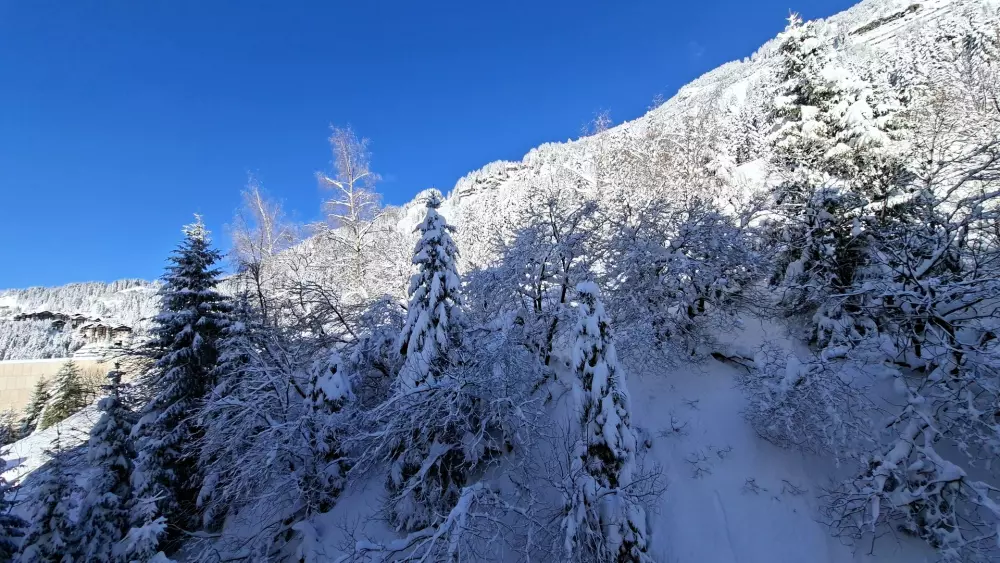 Résidence Andromede