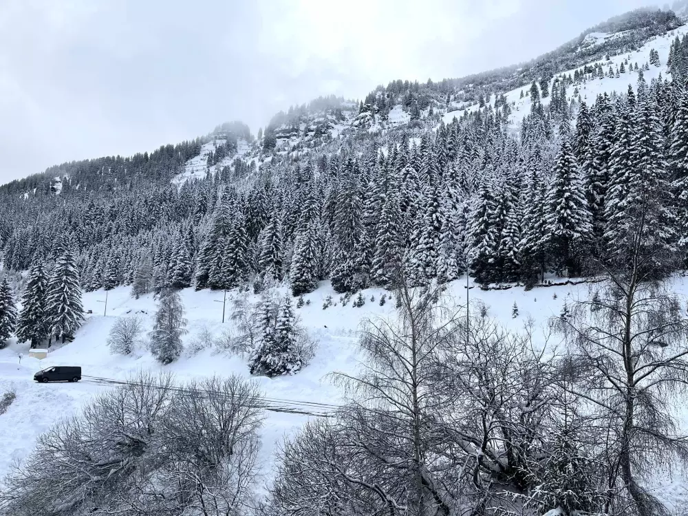 Résidence Andromede