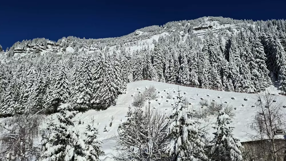 Résidence Andromede