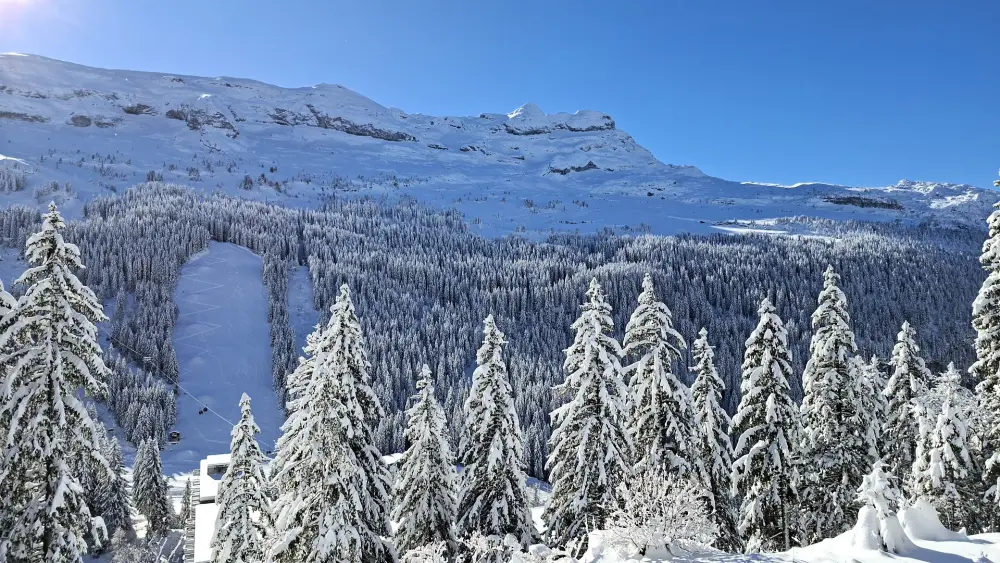 Résidence Castor