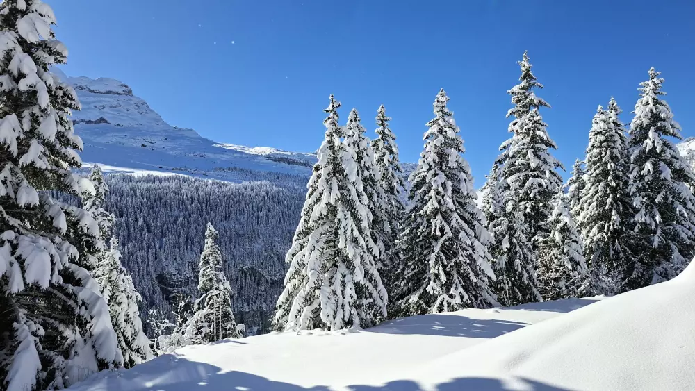 Résidence Les Pleiades