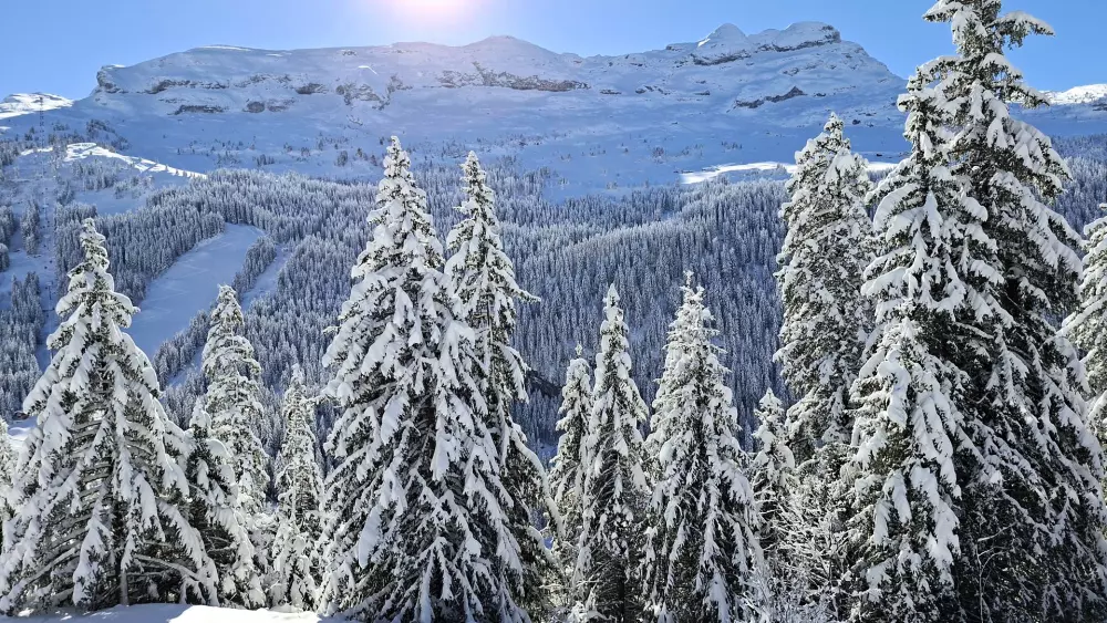 Résidence Les Pleiades