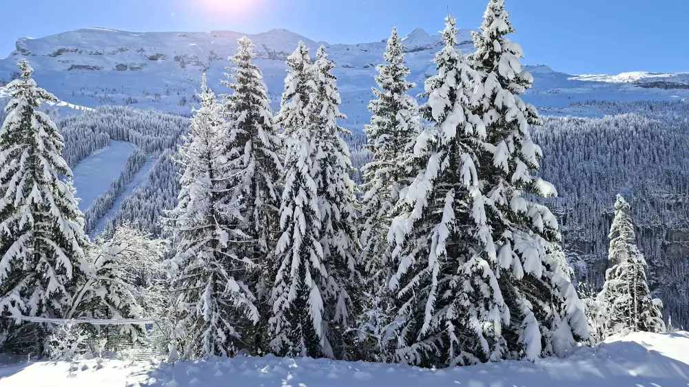Résidence Les Pleiades