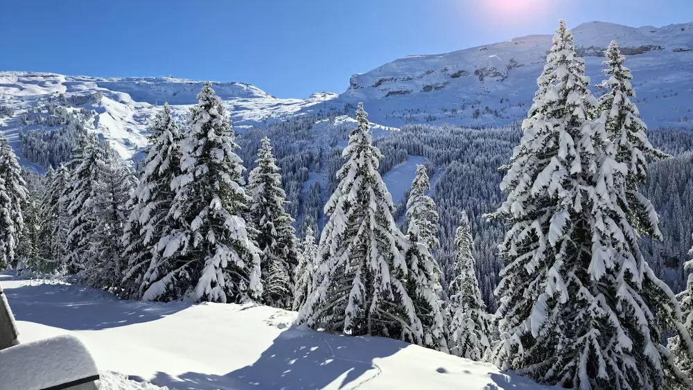 Résidence Les Pleiades