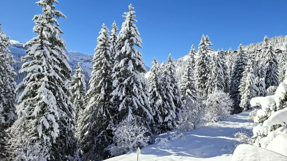 Résidence Les Pleiades