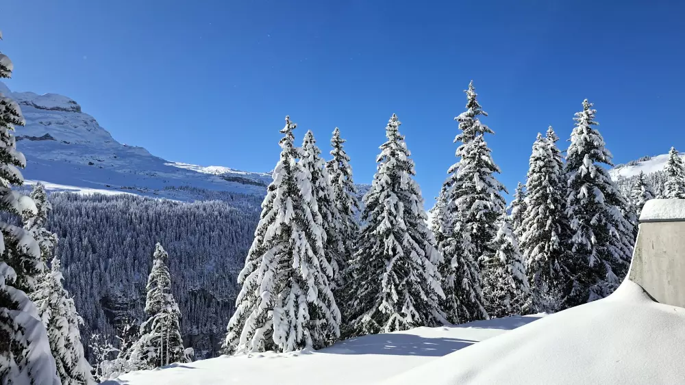 Résidence Les Pleiades
