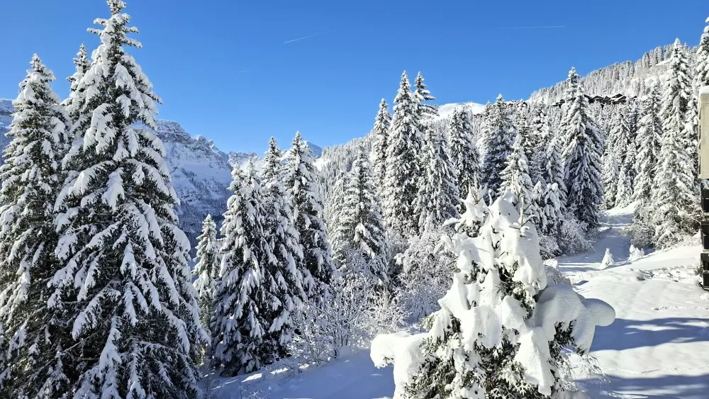 Résidence Les Pleiades