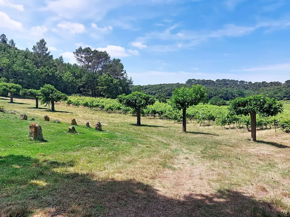 Maison de Vacances Flassans sur Issole