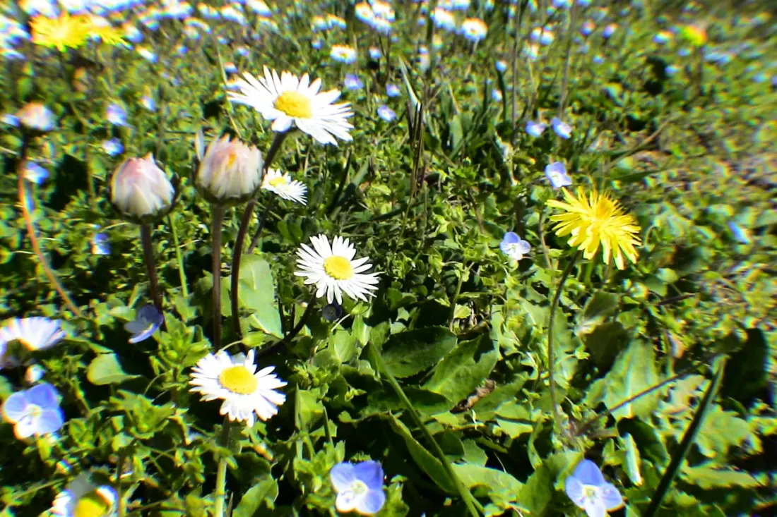 L'oubradou, Mas De Charme, Piscine Partagée En Provence, Nature Et Calme
