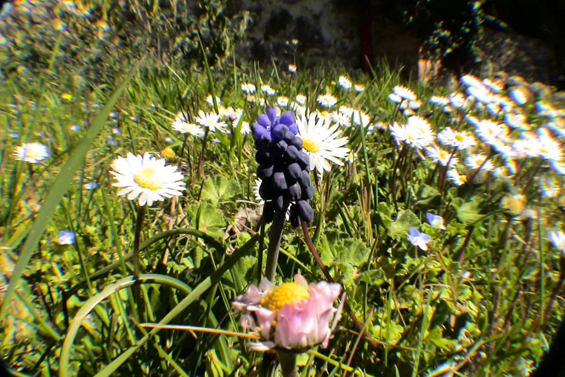 Le Jas, Mas De Charme, Piscine Partagée , Nature, Calme, 6 Ha En Provence