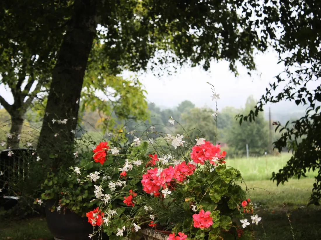 Maison de Vacances Fleurac 5