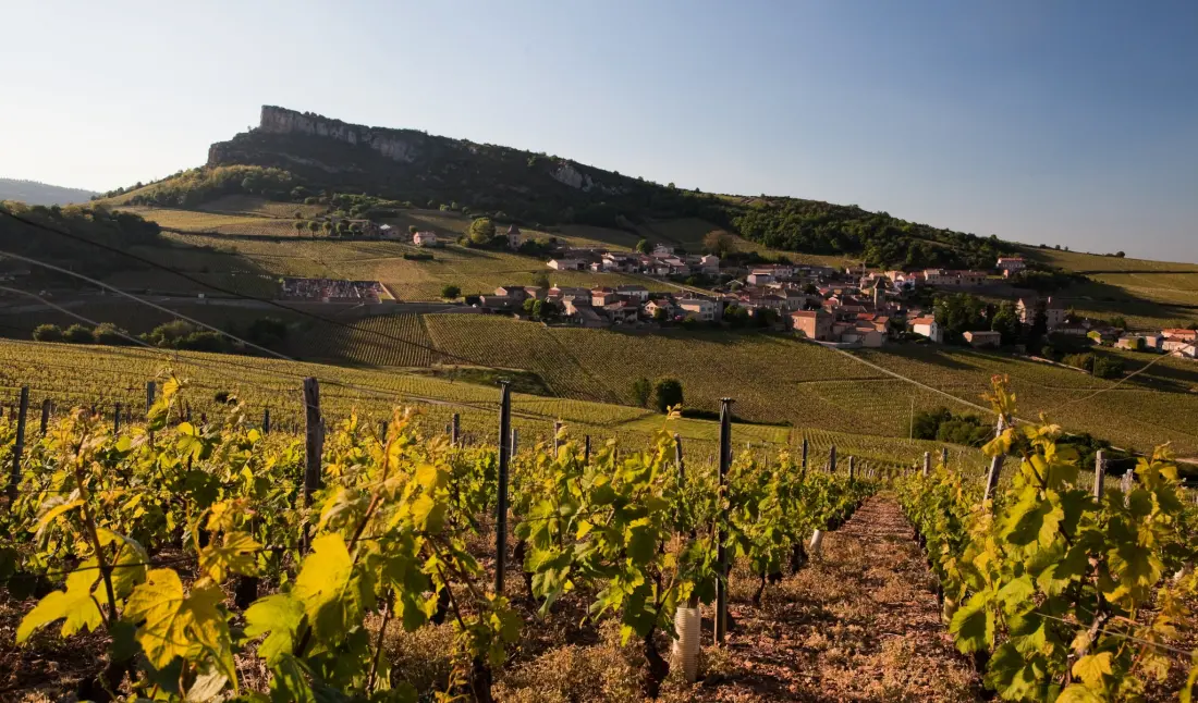 Camping La Grappe Fleurie 5 étoiles★★★★★