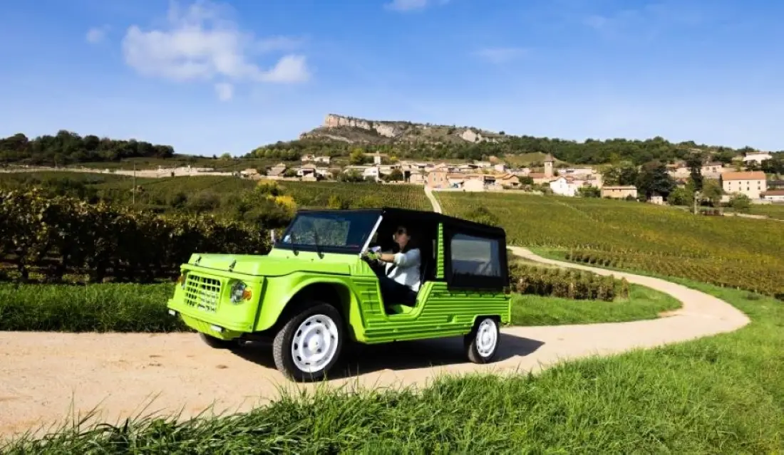 Camping La Grappe Fleurie 5 étoiles★★★★★
