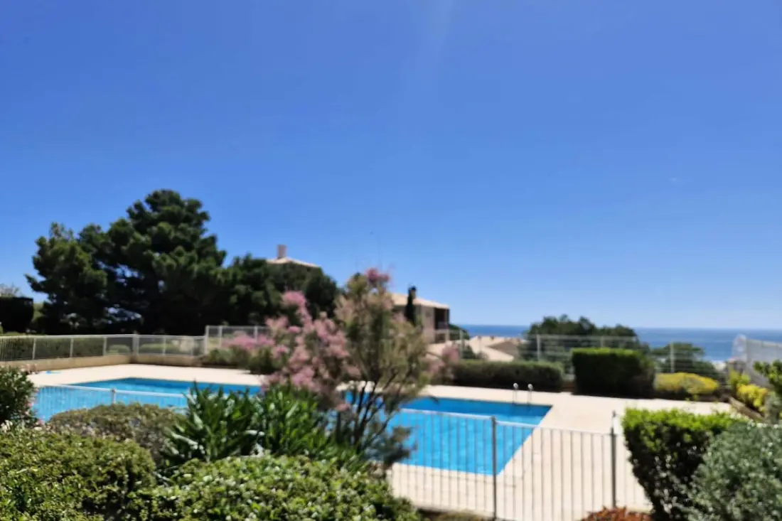 Charmant T2 En Résidence Avec Piscine
