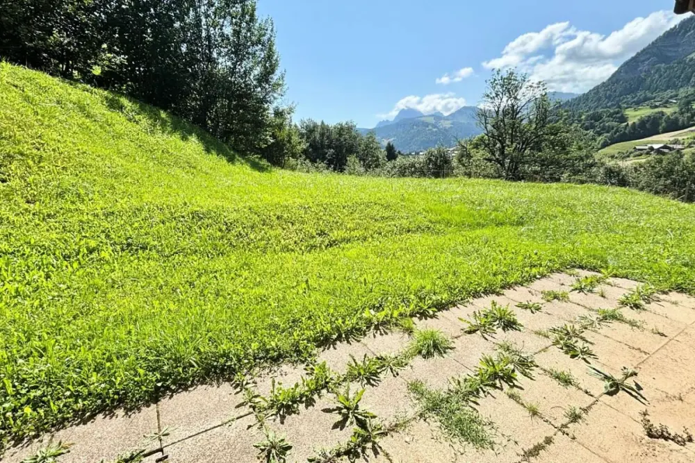 "le Pied" Des Pistes , Terrasse , Piscine