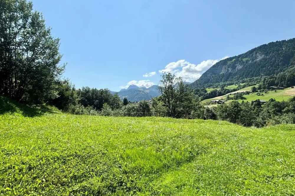 "le Pied" Des Pistes , Terrasse , Piscine