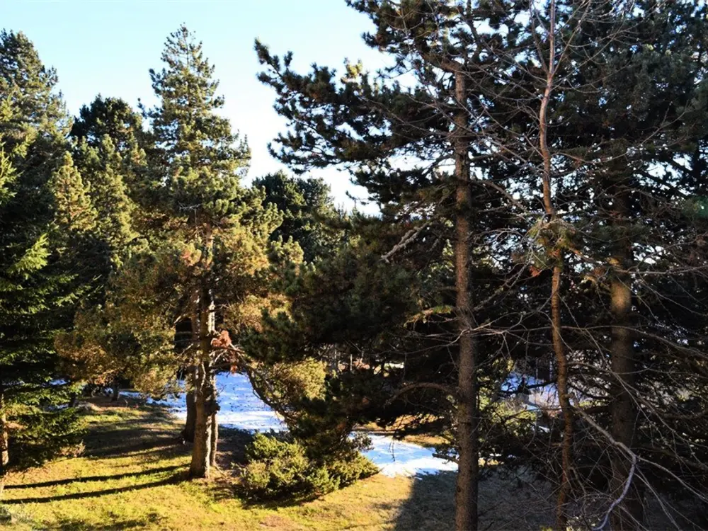 Location de Vacances Font-Romeu-Odeillo-Via 30