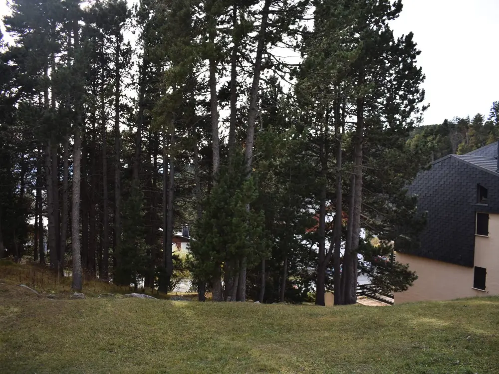 Location de Vacances Font-Romeu-Odeillo-Via 56