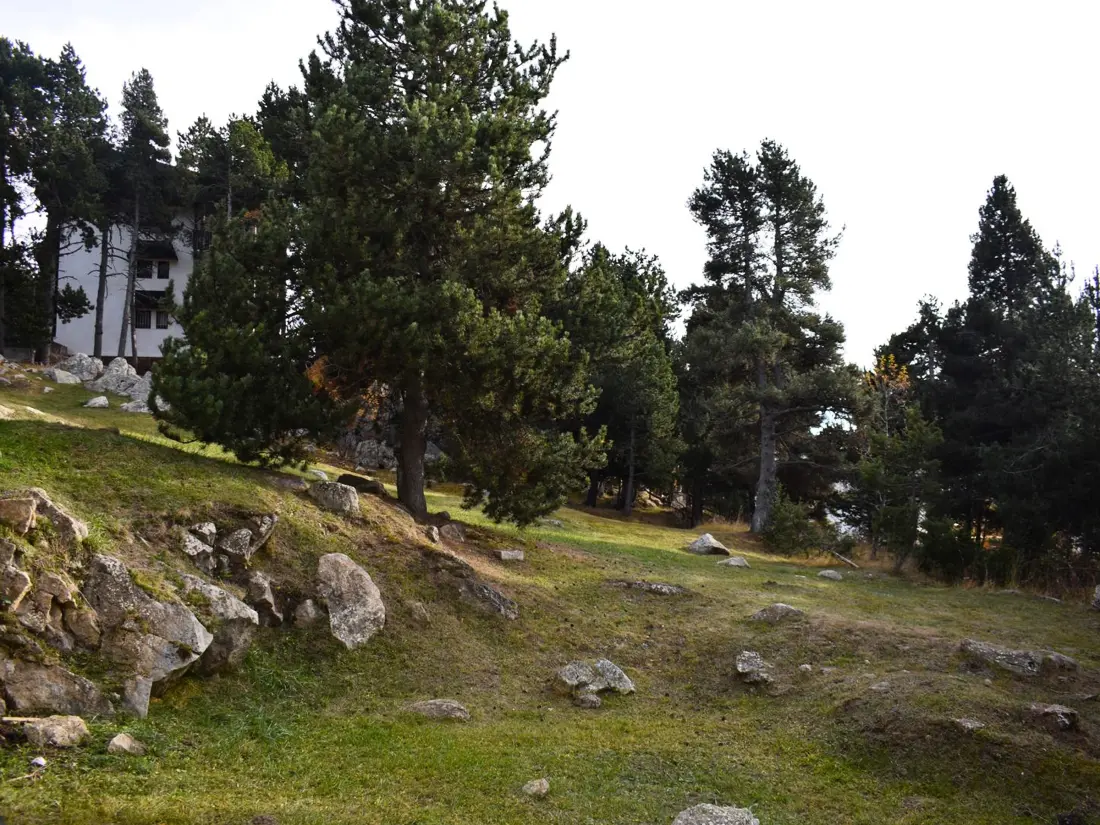 Location de Vacances Font-Romeu-Odeillo-Via 56