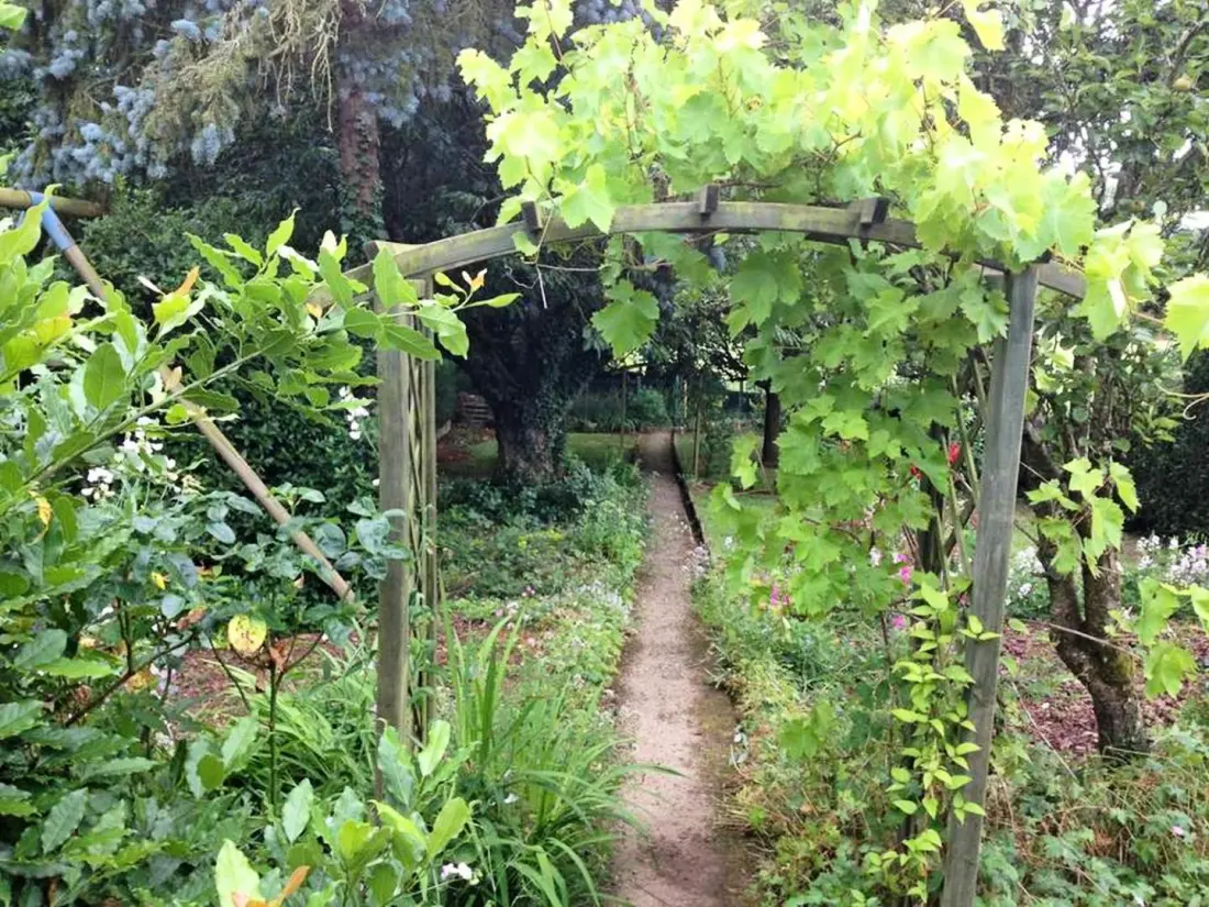 Gîte de France L'esprit forêt 3 épis