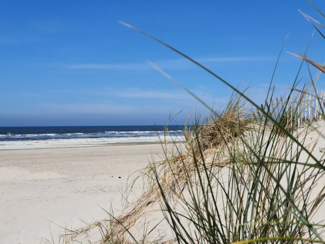 Location de Vacances Fort-Mahon-Plage 158