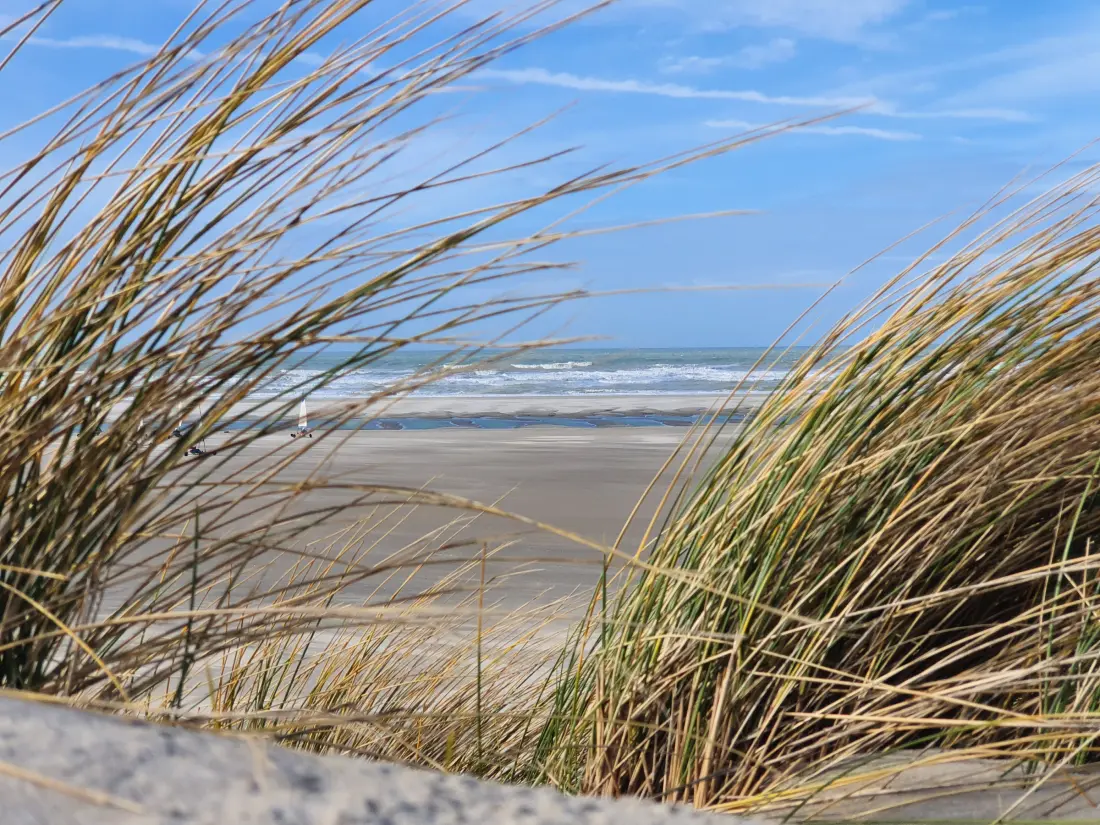 Location de Vacances Fort-Mahon-Plage 168