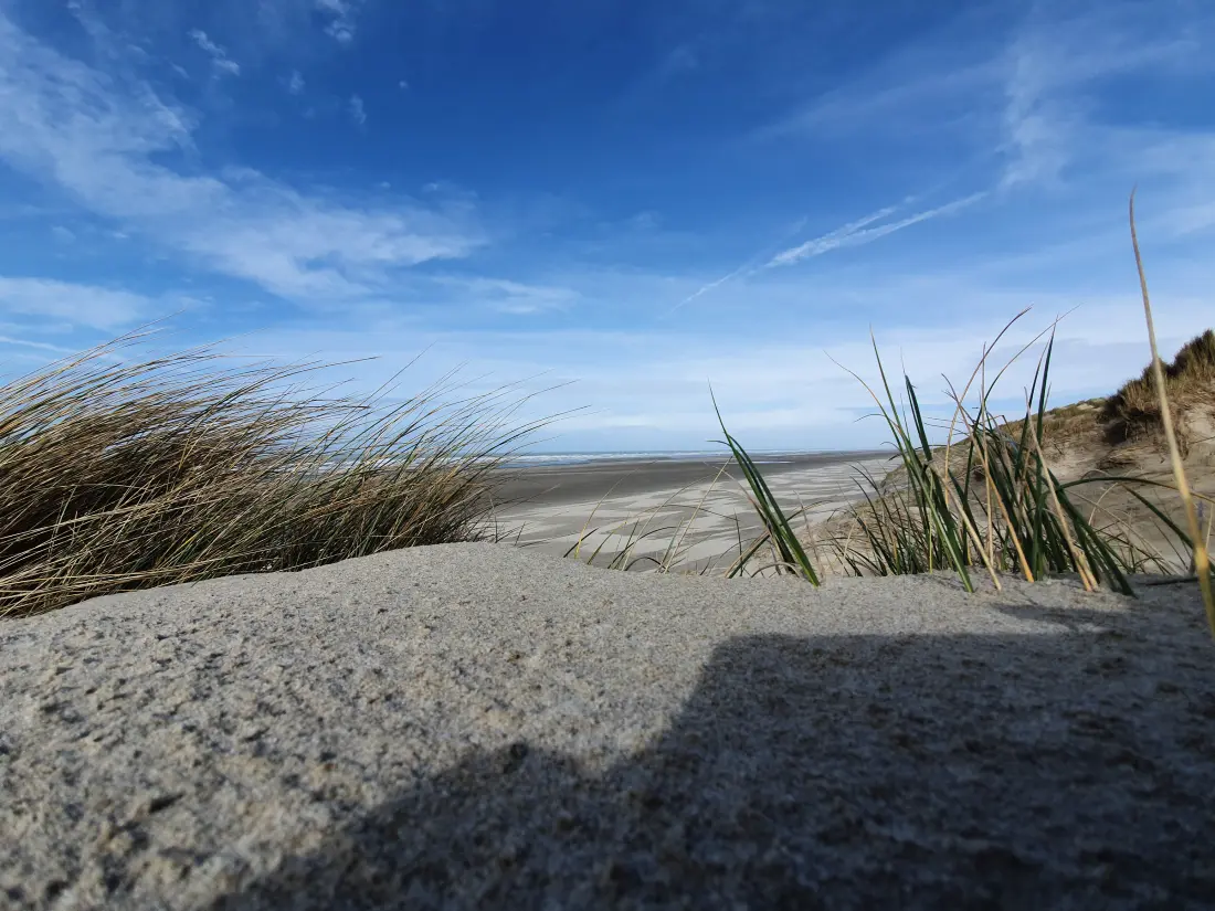 Location de Vacances Fort-Mahon-Plage 179