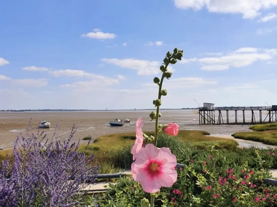 Location de Vacances Fouras 123