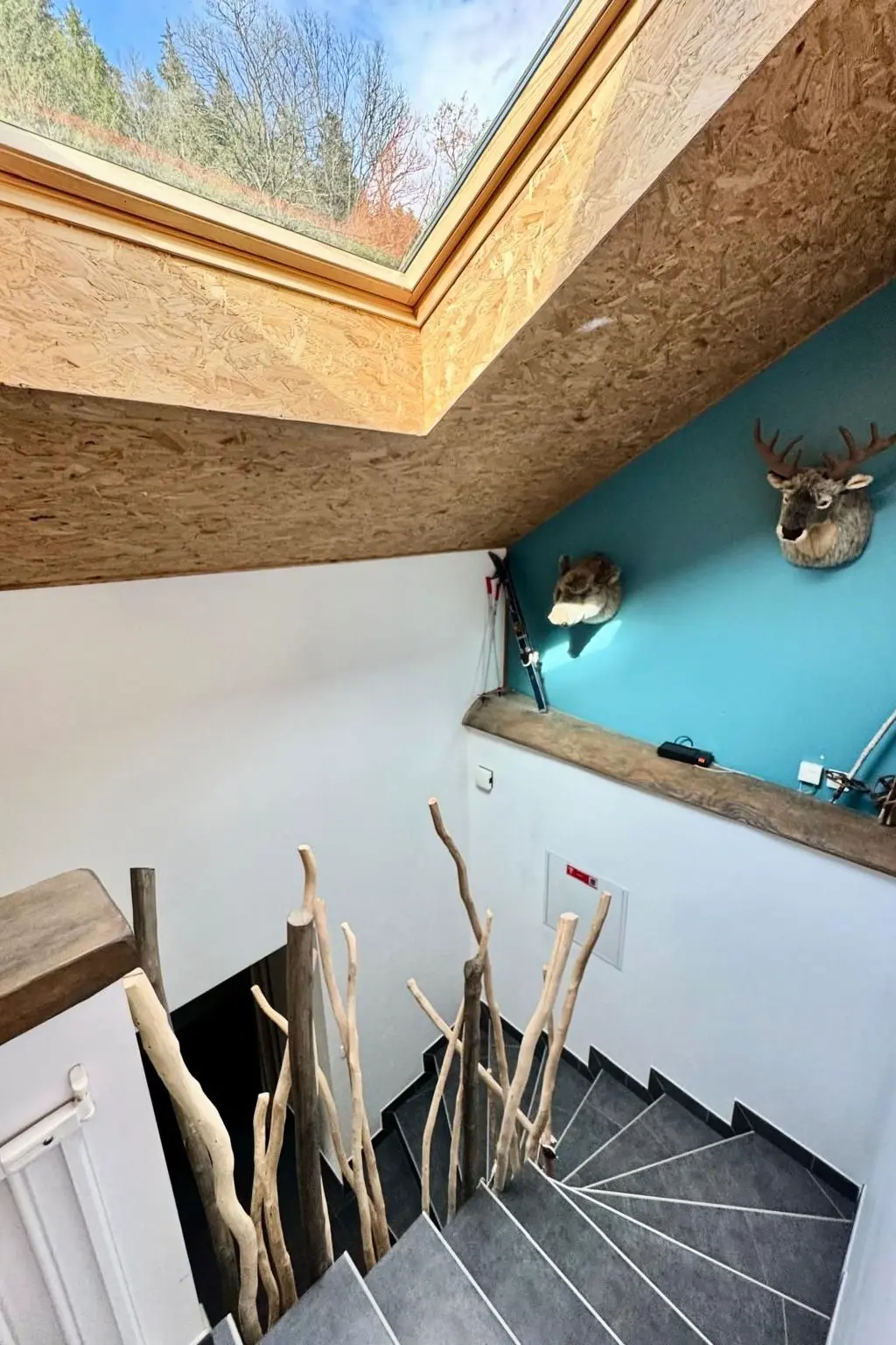 Maison de Vacances Fraize