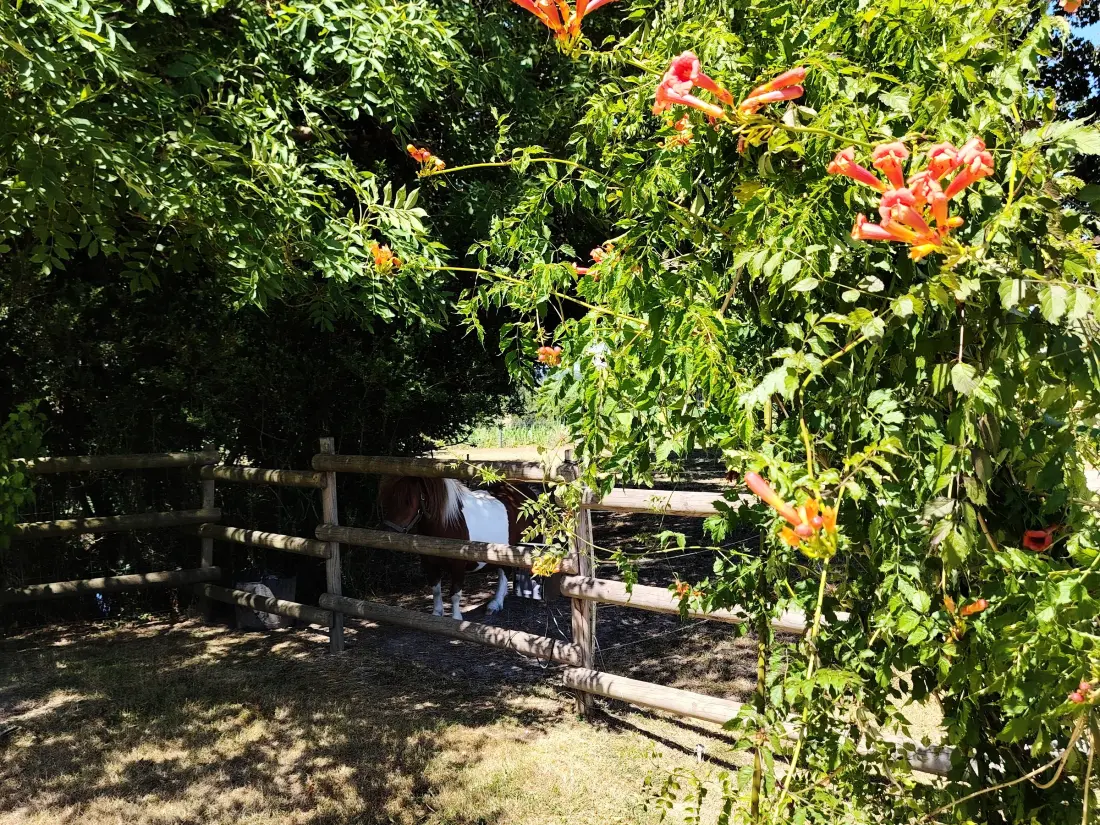Maison de Vacances Frédille 5