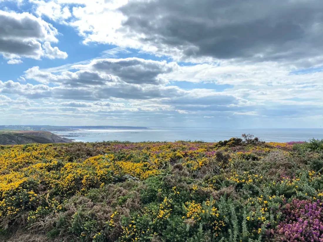 Maison de Vacances Frehel/Cap Frehel