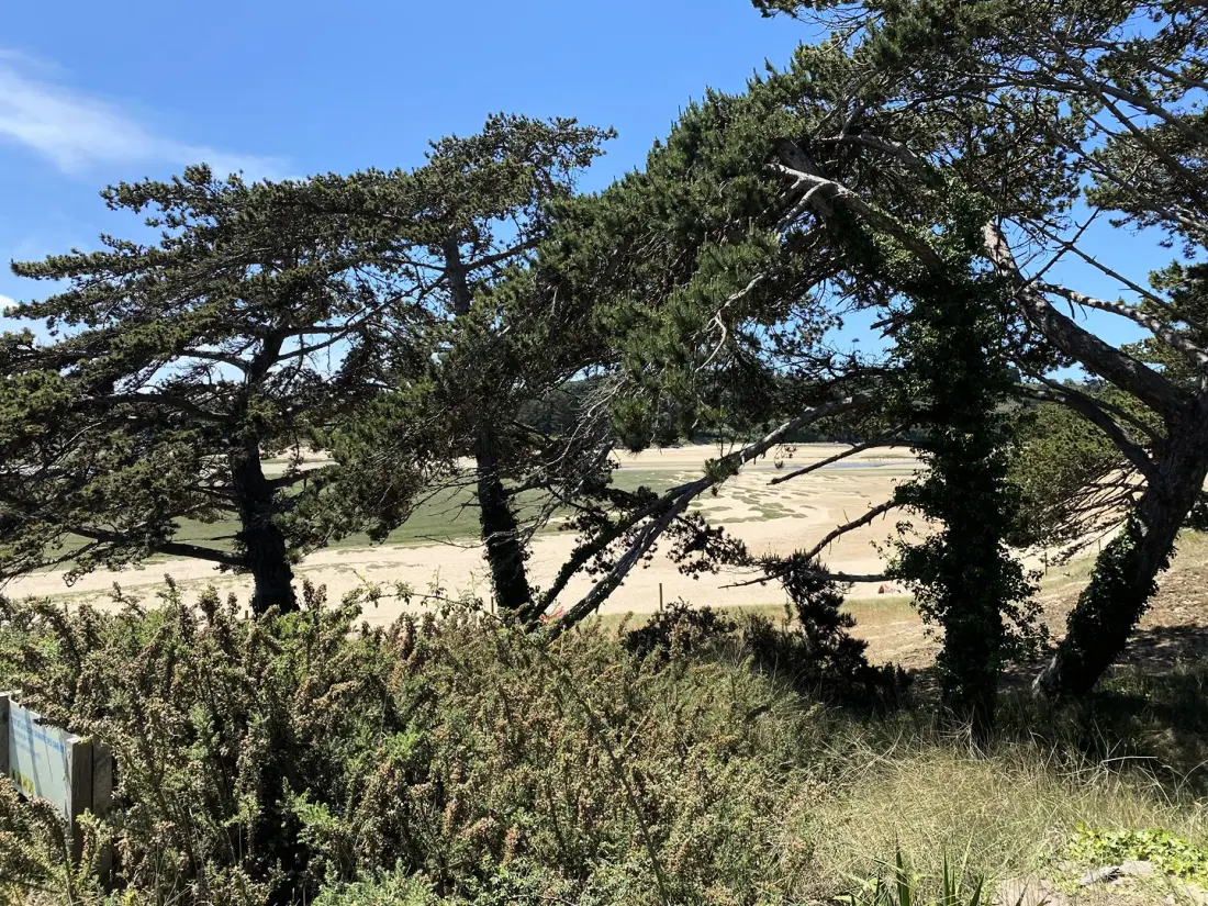 Résidence Les Dunes D'or