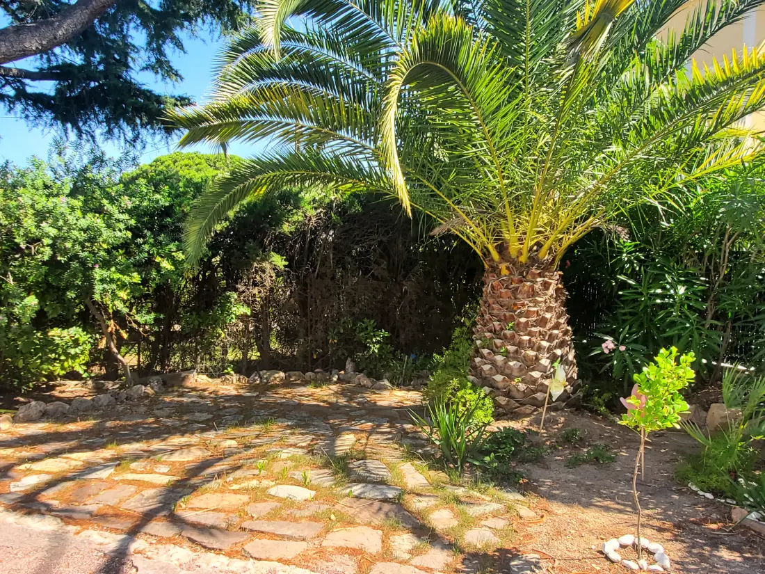 Appartements à Fréjus - Port Fréjus