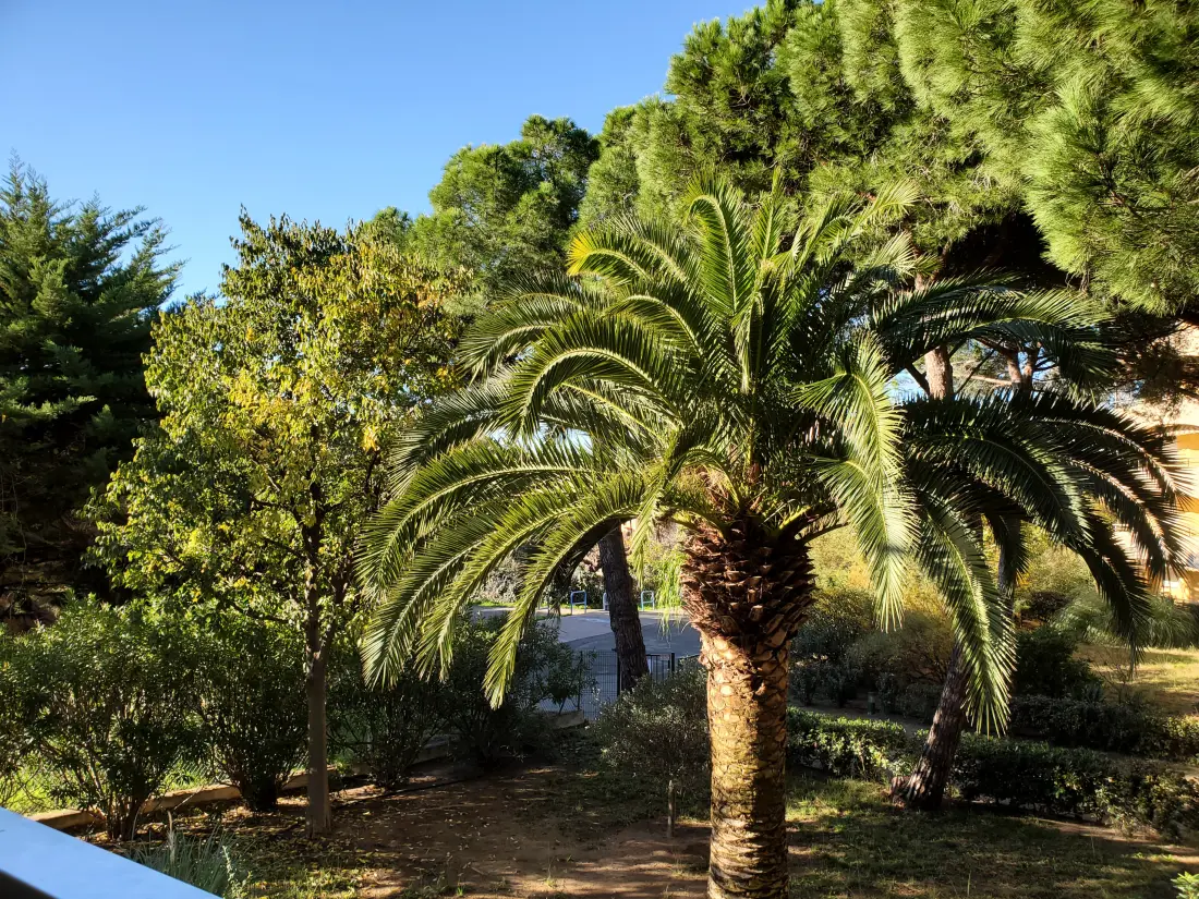 Appartements à Fréjus - Port Fréjus