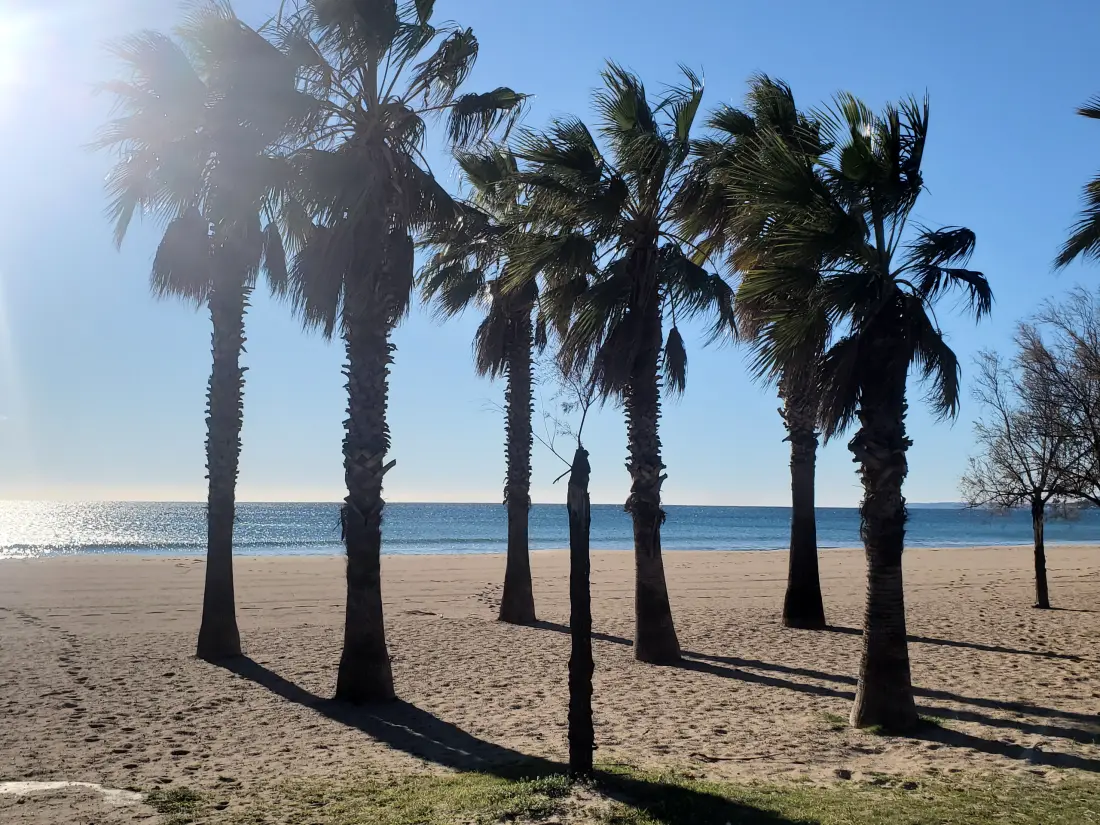 Appartements à Fréjus - Port Fréjus